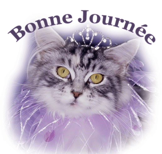 image scintillante