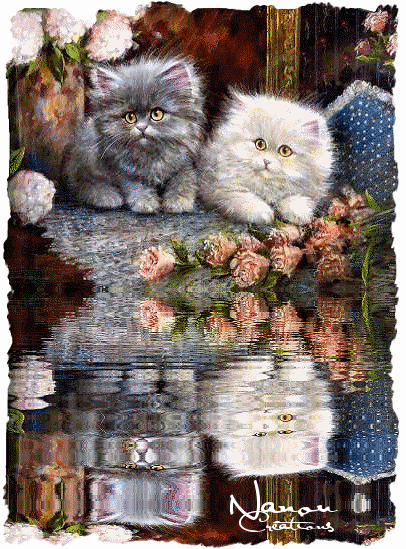 CHAT 111